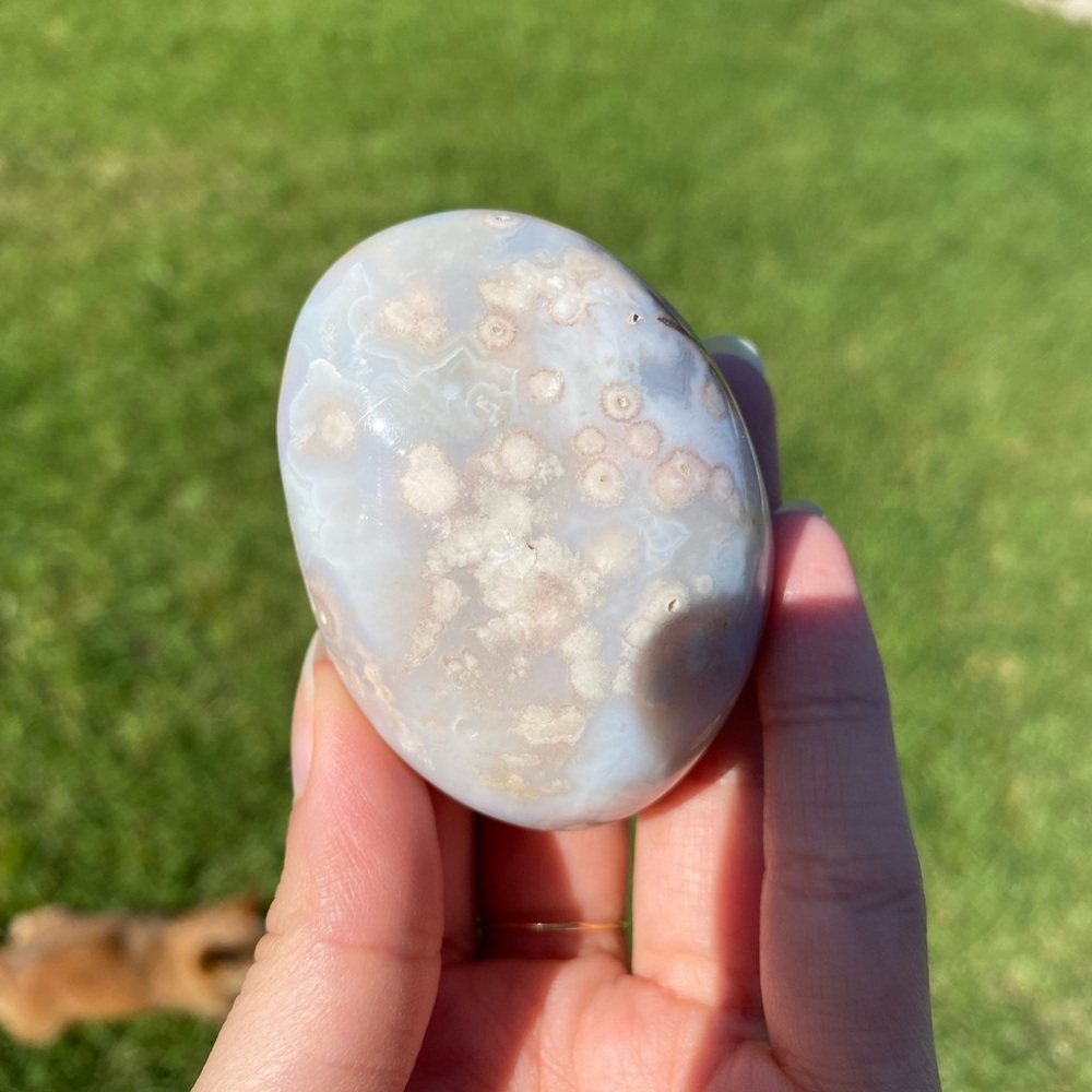 Flower Agate Palm Stone